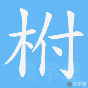 �������ı�˳����д�ֶ�����ʾ