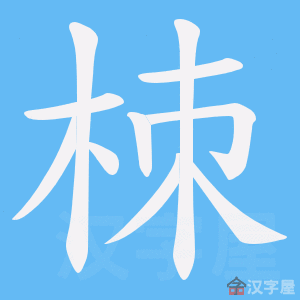 ���ܡ��ı�˳����д�ֶ�����ʾ