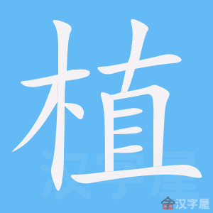 ��ֲ���ı�˳����д�ֶ�����ʾ