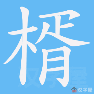 ���졷�ı�˳����д�ֶ�����ʾ