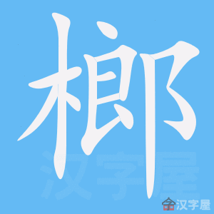 ���ơ��ı�˳����д�ֶ�����ʾ