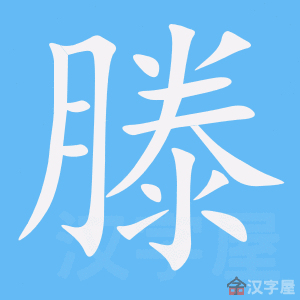 �������ı�˳����д�ֶ�����ʾ