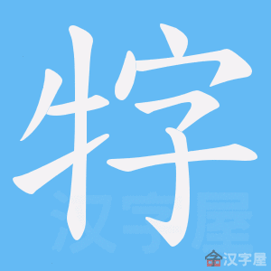 �������ı�˳����д�ֶ�����ʾ