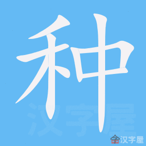 ���֡��ı�˳����д�ֶ�����ʾ