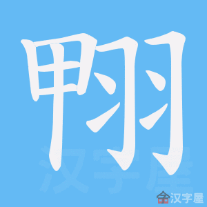 �������ı�˳����д�ֶ�����ʾ