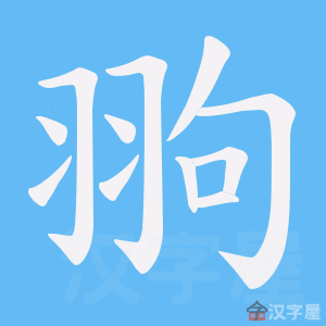 �������ı�˳����д�ֶ�����ʾ