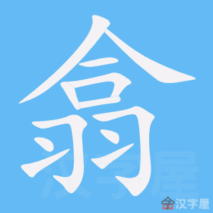 ���⡷�ı�˳����д�ֶ�����ʾ