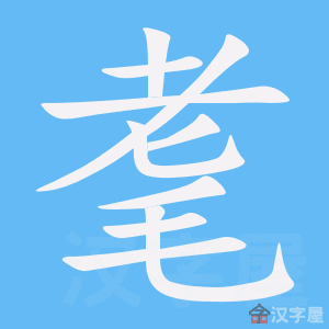 ��룡��ı�˳����д�ֶ�����ʾ