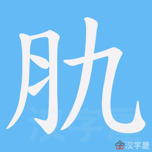 ���F���ı�˳����д�ֶ�����ʾ