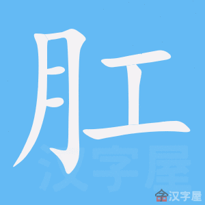 ���ء��ı�˳����д�ֶ�����ʾ