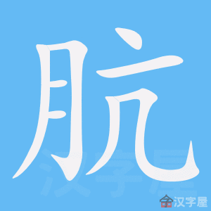 �������ı�˳����д�ֶ�����ʾ