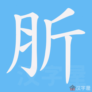 ���X���ı�˳����д�ֶ�����ʾ