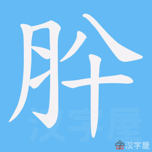 ���Z���ı�˳����д�ֶ�����ʾ