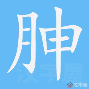 ���ϡ��ı�˳����д�ֶ�����ʾ