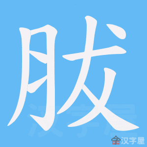 ���_���ı�˳����д�ֶ�����ʾ