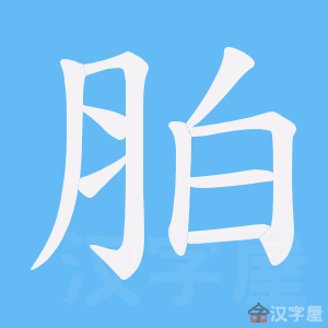 ���`���ı�˳����д�ֶ�����ʾ