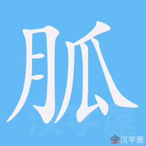 ���ҡ��ı�˳����д�ֶ�����ʾ