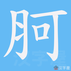 ���m���ı�˳����д�ֶ�����ʾ