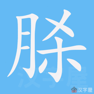 ���ۡ��ı�˳����д�ֶ�����ʾ