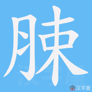 ��Ð���ı�˳����д�ֶ�����ʾ