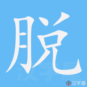 ���ѡ��ı�˳����д�ֶ�����ʾ