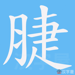 ��Ý���ı�˳����д�ֶ�����ʾ