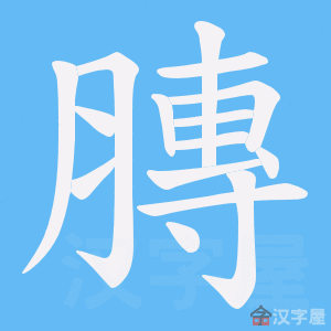 ���x���ı�˳����д�ֶ�����ʾ