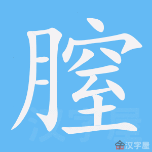 �������ı�˳����д�ֶ�����ʾ