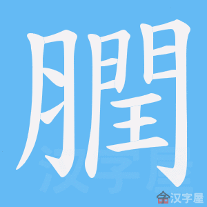 ��Č���ı�˳����д�ֶ�����ʾ