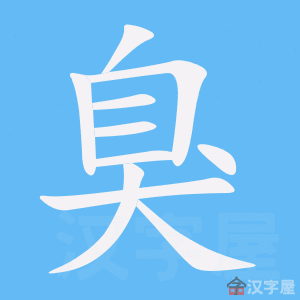 �������ı�˳����д�ֶ�����ʾ