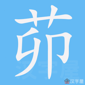 ���⡷�ı�˳����д�ֶ�����ʾ