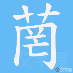 ���D���ı�˳����д�ֶ�����ʾ