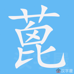 ���͡��ı�˳����д�ֶ�����ʾ