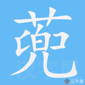 �������ı�˳����д�ֶ�����ʾ