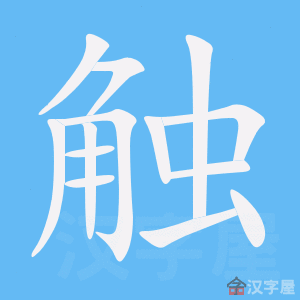 �������ı�˳����д�ֶ�����ʾ