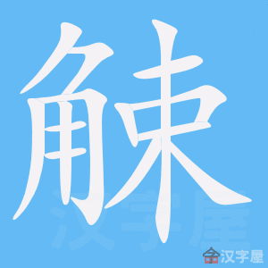 �������ı�˳����д�ֶ�����ʾ