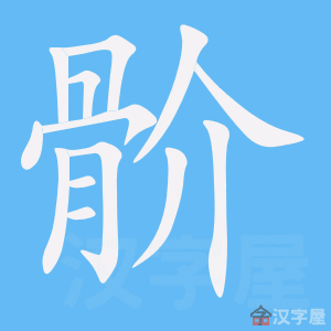 �������ı�˳����д�ֶ�����ʾ