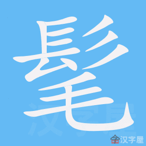 ���֡��ı�˳����д�ֶ�����ʾ