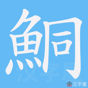 ���j���ı�˳����д�ֶ�����ʾ