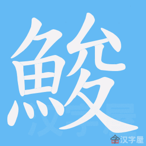 �������ı�˳����д�ֶ�����ʾ