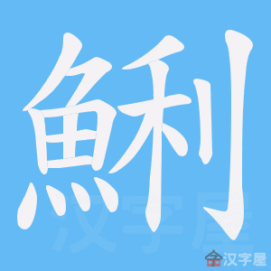 �������ı�˳����д�ֶ�����ʾ