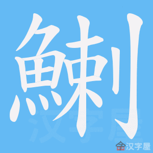 ���_���ı�˳����д�ֶ�����ʾ