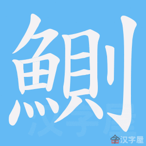 ���f���ı�˳����д�ֶ�����ʾ