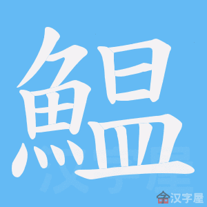 �������ı�˳����д�ֶ�����ʾ