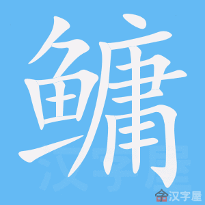 �������ı�˳����д�ֶ�����ʾ