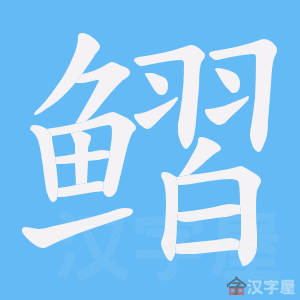 �������ı�˳����д�ֶ�����ʾ