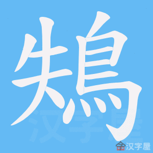 �������ı�˳����д�ֶ�����ʾ