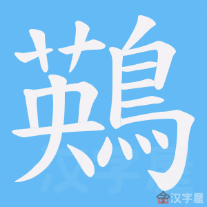 ���D���ı�˳����д�ֶ�����ʾ