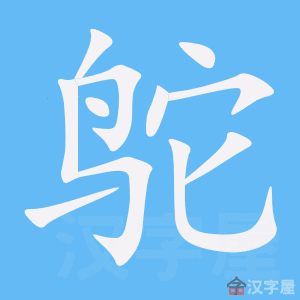 ���ҡ��ı�˳����д�ֶ�����ʾ