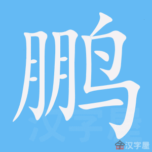 �������ı�˳����д�ֶ�����ʾ